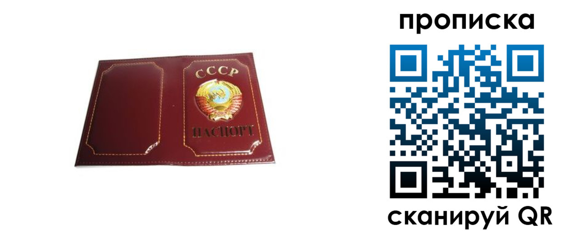 прописка гарантия в Аше
